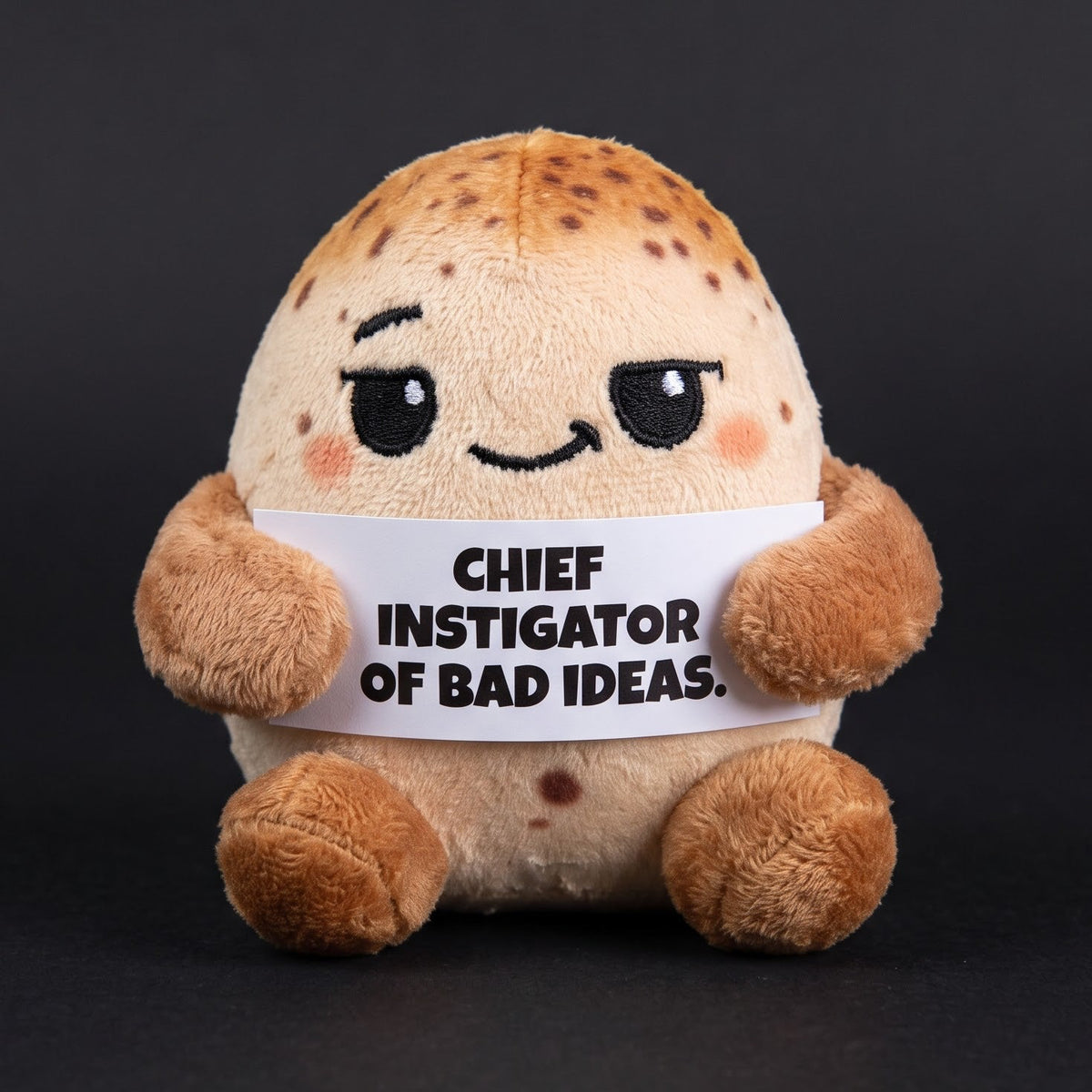 Chief instigator of bad ideas